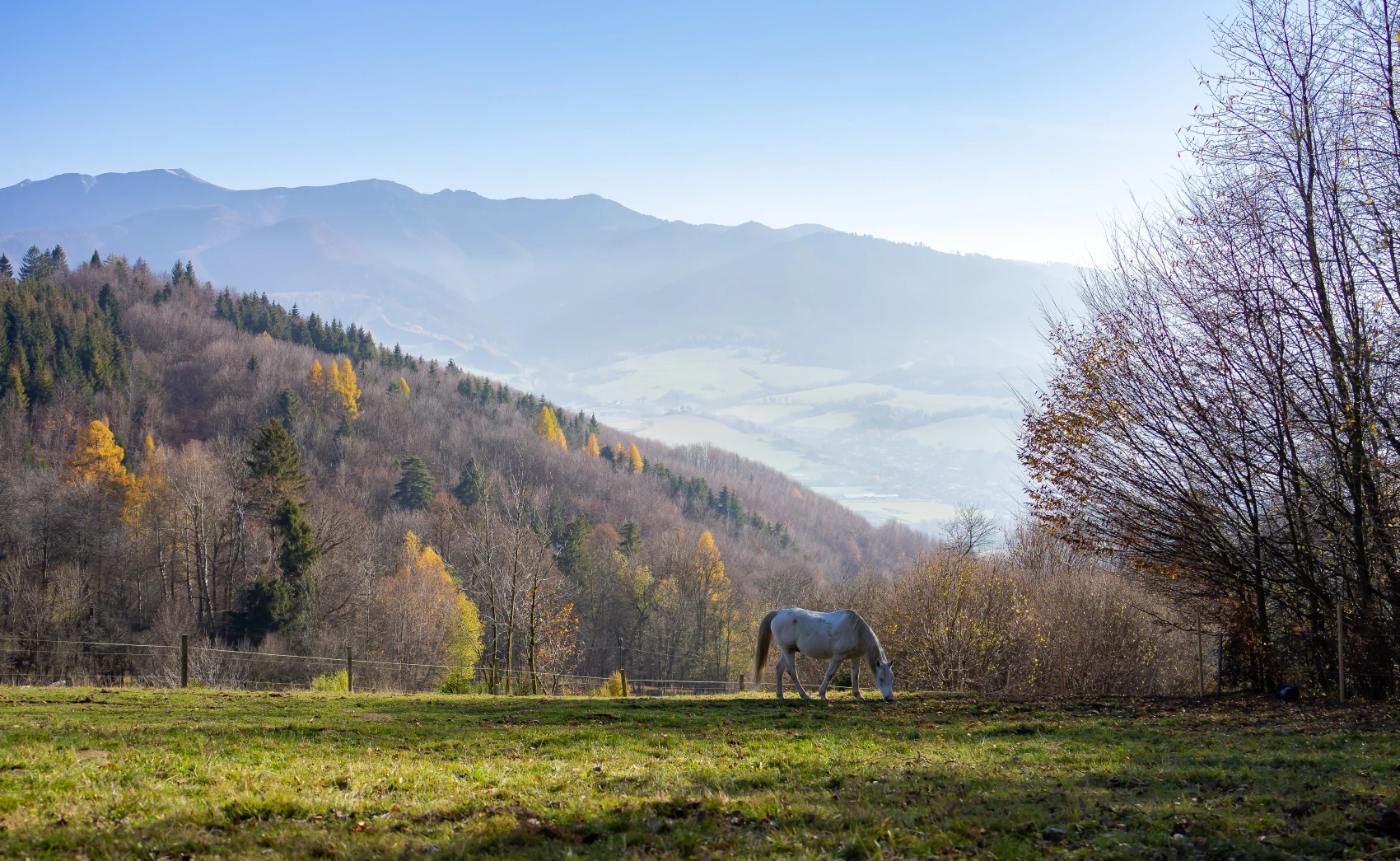 view of Malá Fatra
