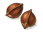 Odpowiedź