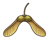 Pytanie