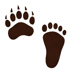 Odpoveď