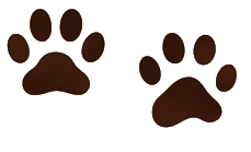 Odpoveď